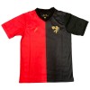 Original Fußballtrikot Sport Recife Jubiläum 2024-25 Für Herren